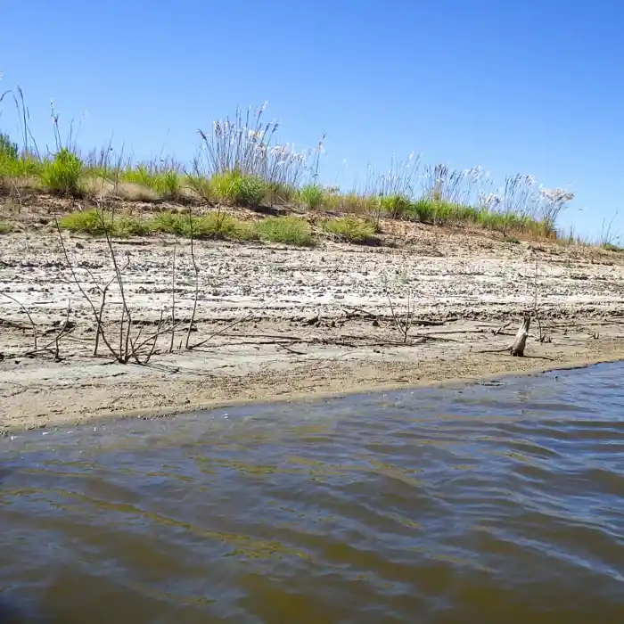 Exposed sand at the edge of a lake. Lines of debris in the sand indicate previous water levels.