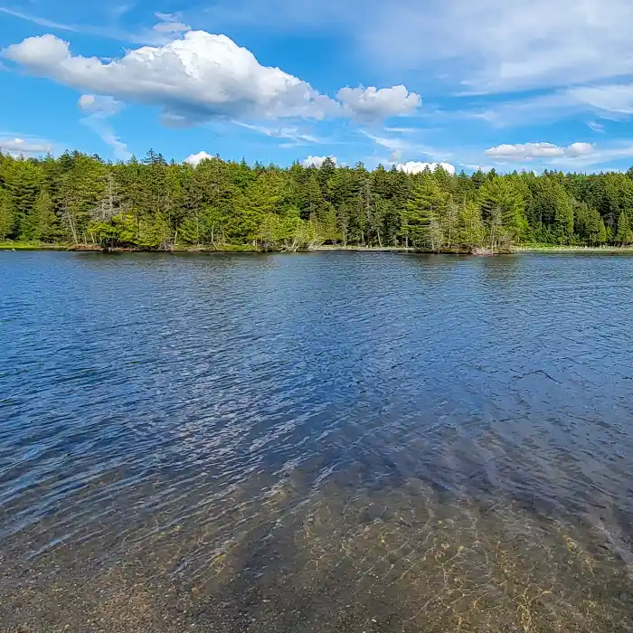 Lake lined with coniferous trees.